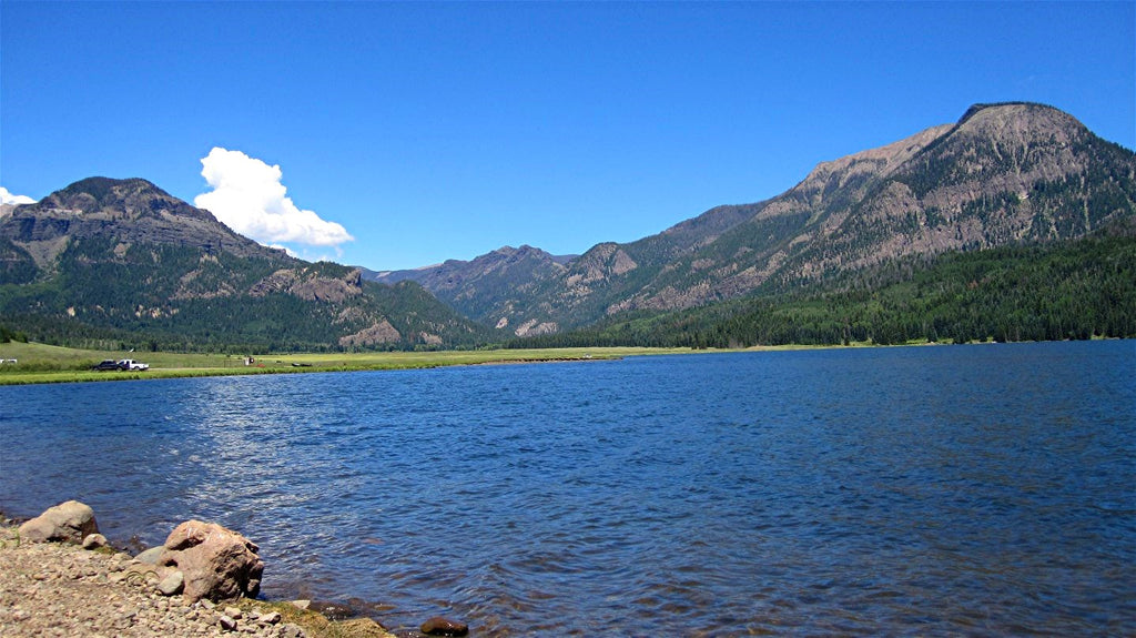 RESERVED FOR NANCY - Gold Bronze Doughnut Bead